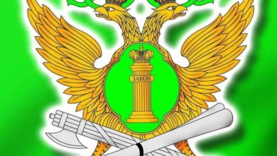 gerb-fssp